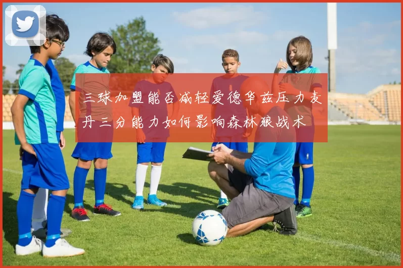 三球加盟能否减轻爱德华兹压力麦丹三分能力如何影响森林狼战术