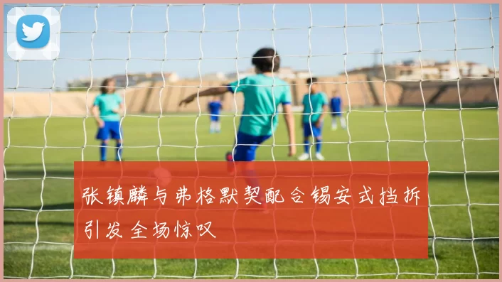 张镇麟与弗格默契配合锡安式挡拆引发全场惊叹